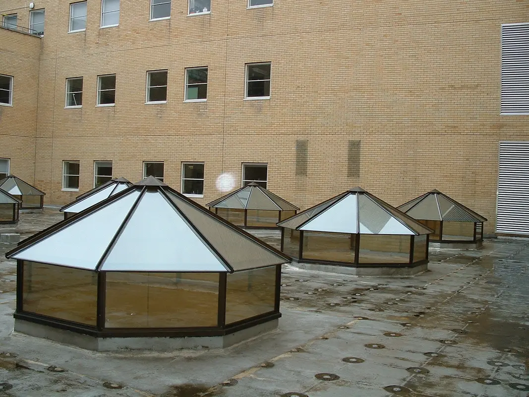 Flat Roof Skylights Ladbroke Grove
